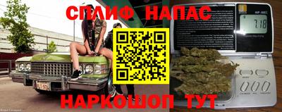 МДПВ Пенза