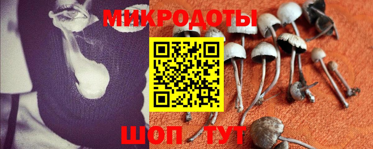 Галлюциногенные грибы Psilocybe  Вход с VPN  Псилоцибиновые грибы мицелий  Омск 