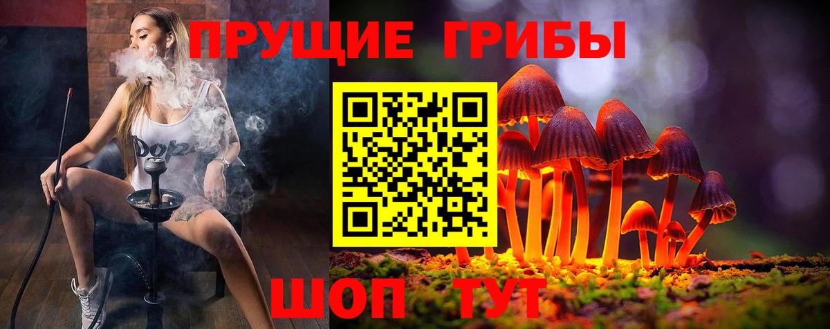 Галлюциногенные грибы GOLDEN TEACHER Омск